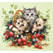 Kit broderie point de croix - Magic Needle - Adorables chatons