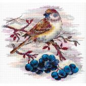 Kit broderie point de croix - MP Studia - Moineau agile