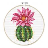 Kit broderie point de croix avec tambour - Ladybird - Cactus rose