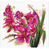 Kit broderie point de croix - Ladybird - Belles orchidées