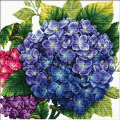 Kit broderie point de croix - Ladybird - Hortensias