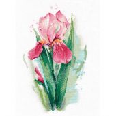Kit point de croix - Oven - Iris rose