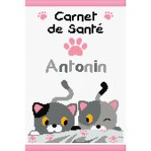 Kit de protège carnet à broder - Princesse - Petits chats