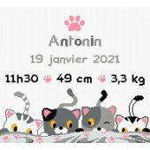 Kit broderie point de croix - Princesse - Petits chats