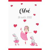 Kit de protège carnet à broder - Princesse - Ma petite ballerine