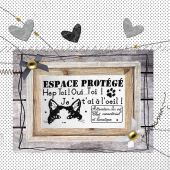 Fiche Point de Croix - Isabelle Haccourt Vautier - Espace protégé