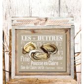 Fiche Point de Croix - Isabelle Haccourt Vautier - Les huîtres