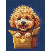 Kit broderie point de croix - RTO - Surprise pour toi - Caniche