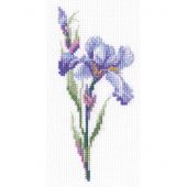 Kit broderie point de croix - RTO - Iris