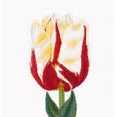 Kit broderie point de croix - Thea Gouverneur - Tulipe Flamed Single