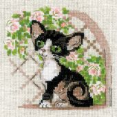 Kit broderie point de croix - Riolis - Chaton Cornish Rex