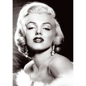 Kit de broderie Diamant - Wizardi - Marilyn Monroe