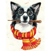 Kit de broderie Diamant - Wizardi - Sorcier Border Collie
