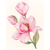 Kit de broderie Diamant - Wizardi - Magnolia en fleurs
