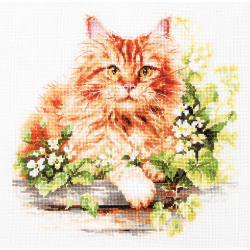 Kit Broderie Point De Croix Chats Sur Canapé (6) – 14ct 26×26 Cm Motif Adorable & Relaxant