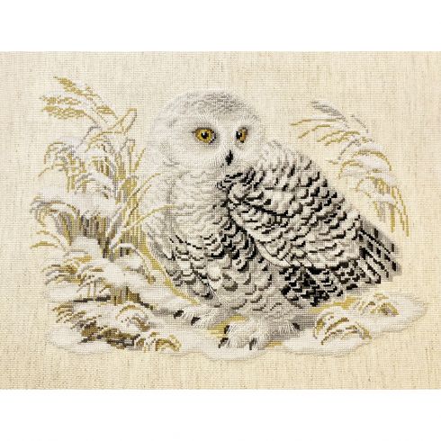 Kit De Broderie Au Point De Croix Heritage Crafts - Chouette Effraie Sur Toile Aida 14ct (CFBO1483)