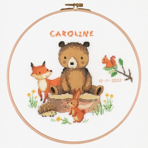 Kit Point De Croix ABC Des Forêts – Brodart – 30×30 Cm – Fils DMC – Neuf