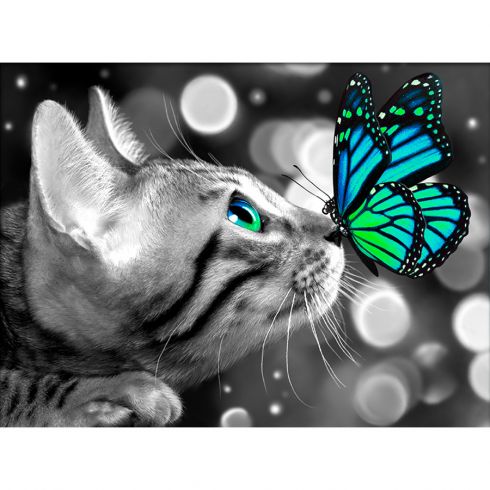 Kit De Broderie Diamant Chat Bengal Et Papillon Diamond Painting