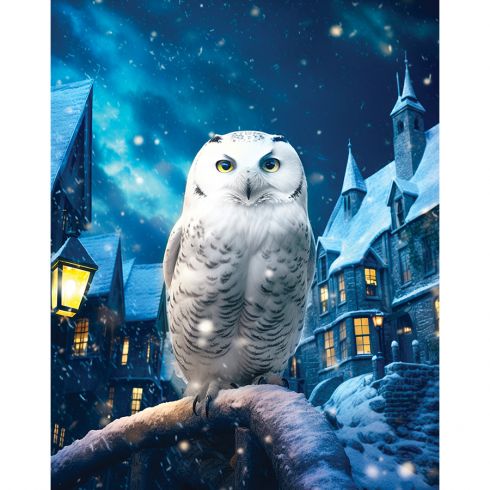 YEESAM Art Kit De Peinture Diamant 5D à Strass - Chouette Colorée - Peinture à Coller Par Numéro - Chouette 1, 76,2 X 76,2 Cm