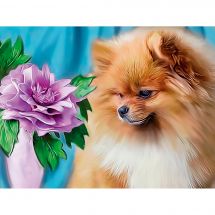 Kit de broderie Diamant - Diamond Painting - Loulou de poméranie