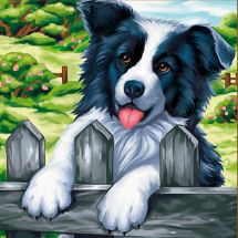 Kit de broderie Diamant - Diamond Painting - Border collie