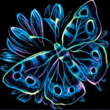 Kit de broderie Diamant - Diamond Painting - Papillon