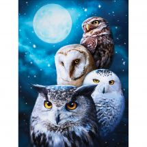 Kit de broderie Diamant - Diamond Painting - Oiseaux de nuit