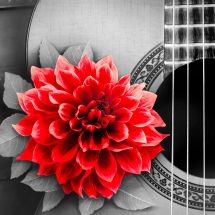 Kit de broderie Diamant - Diamond Painting - Fleur et guitare