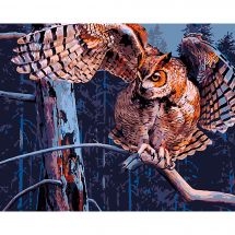 Kit de peinture par numéro - Wizardi - Hibou de nuit