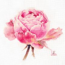 Kit point de croix - Alisa - Rose exquise 