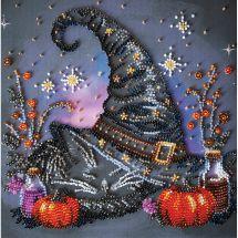 Kit broderie point de croix - Abris Art - Rêve de sorcière