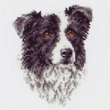 Kit broderie point de croix - Anchor - Border collie