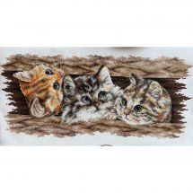 Kit broderie point de croix - Andriana - Trio de poils
