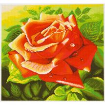 Kit broderie point de croix - Collection d'Art - Rose rouge