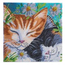 Kit de broderie Diamant sur châssis - Crystal Art D.I.Y - Chats endormis