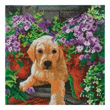 Kit de broderie Diamant sur châssis - Crystal Art D.I.Y - Chiot