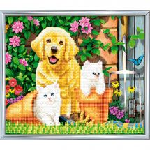 Kit de broderie Diamant sur cadre - Crystal Art D.I.Y - Chien et chats - amis pour la vie