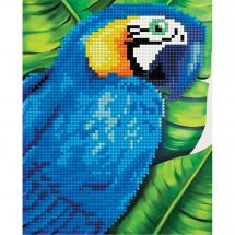 Support carton broderie Diamant - Collection d'Art - Perroquet
