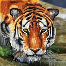 Carte broderie Diamant - Crystal Art D.I.Y - Tigre