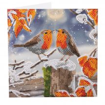 Carte broderie Diamant - Crystal Art D.I.Y - Baiser de rouge-gorge
