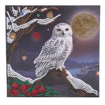 Carte broderie Diamant - Crystal Art D.I.Y - Lune de glace