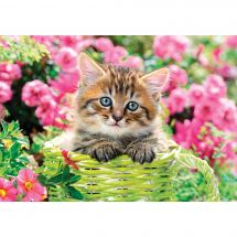 Puzzle  - Castorland - Chaton dans le jardin - 500 pièces