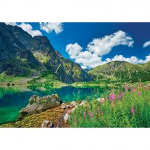 Puzzle  - Castorland - Paysage de Pologne - 500 pièces