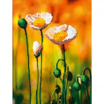 Kit de broderie avec perles - Charivna Mit - Coquelicots blancs