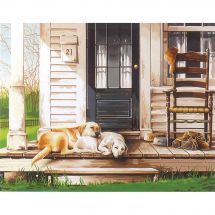 Kit de peinture par numéro - Dimensions - Journée de chiens paresseux