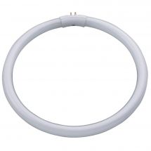 Ampoules - Daylight - Tube 22 Watts