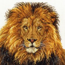 Kit broderie point de croix - DMC - La fierté du lion