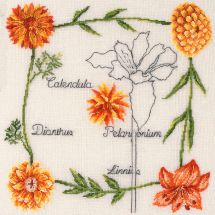 Kit broderie point de croix - DMC - Calendula