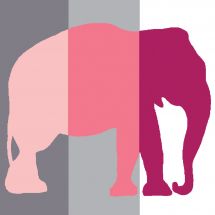 Kit de canevas pour enfant - Luc Créations - Éléphant