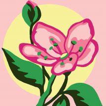 Kit de canevas pour enfant - Luc Créations - Jolie fleur rose